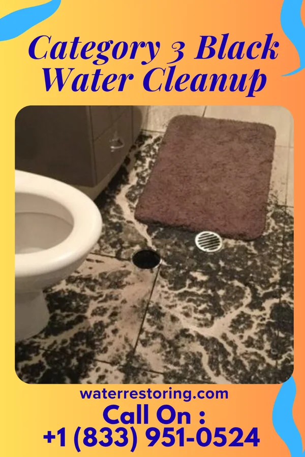 Category 3 Black Water Cleanup in Reynoldsburg, OH