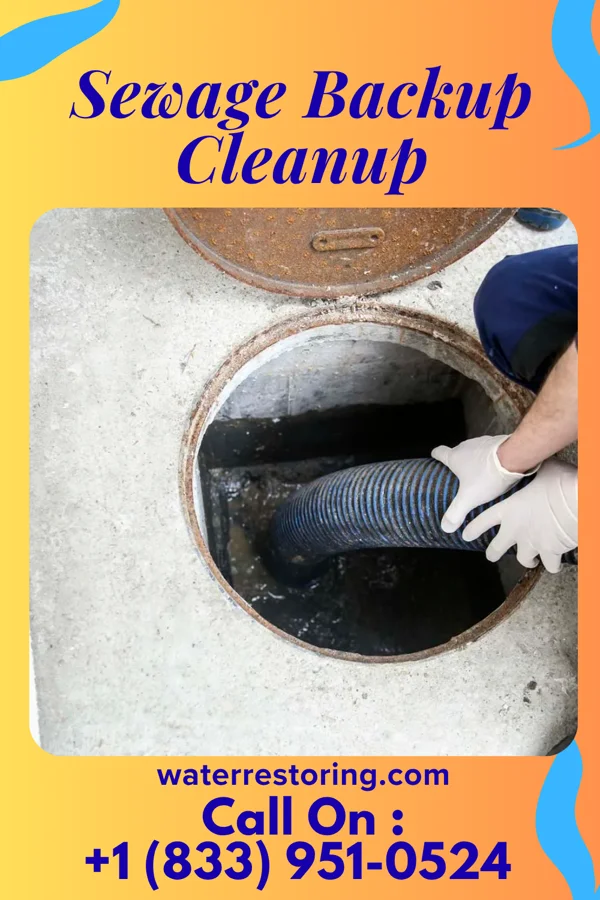 Sewage Backup Cleanup in Reynoldsburg, OH