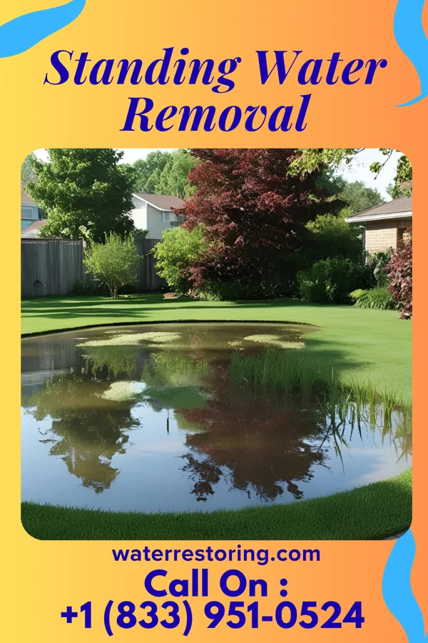 Standing Water Removal in Reynoldsburg, OH
